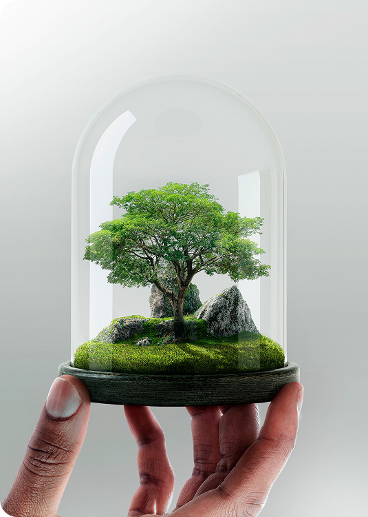 Environment