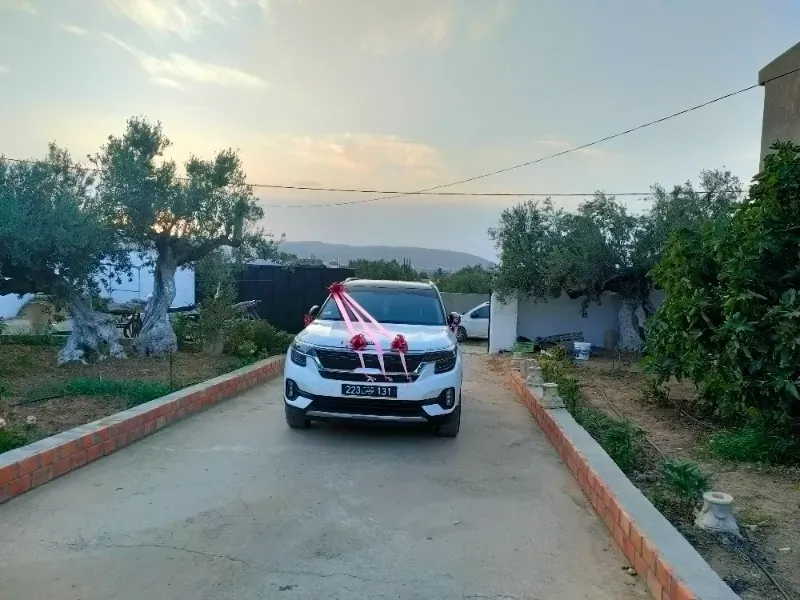 kia seltos 2021 à Bizerte - Photo 2