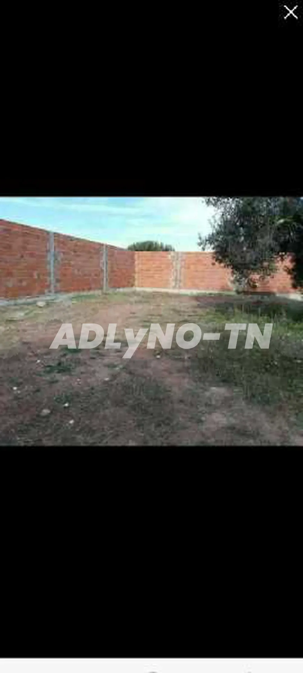 maison 500m2 yasmine hammamet 180.000 MD à Nabeul - Photo 4