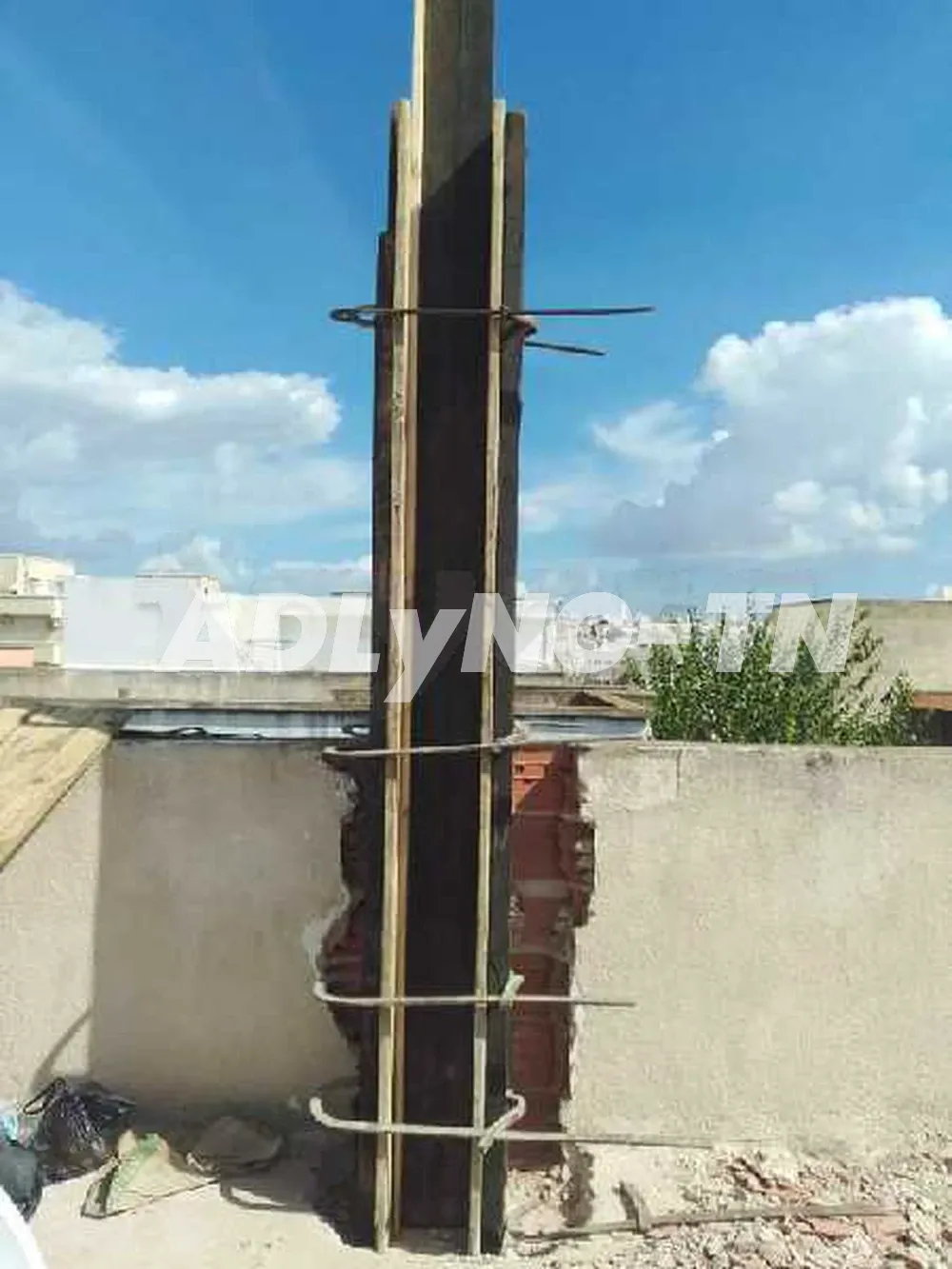pour villa et maison 21118839 à Tunis - Photo 2