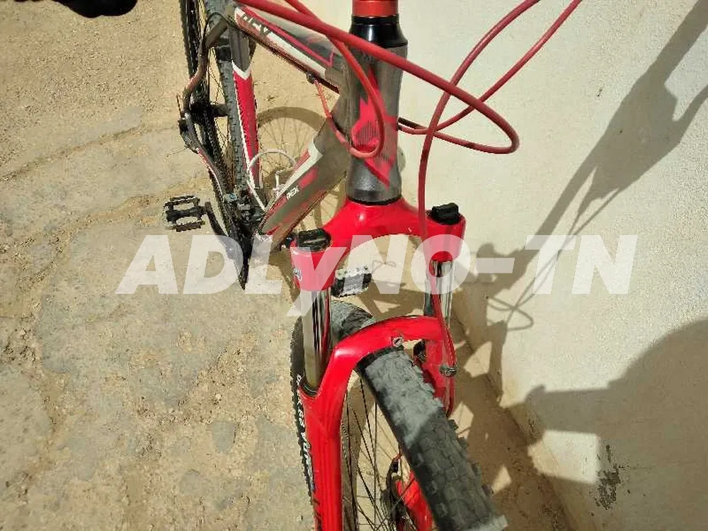 vélo 29 pouces à Sfax - Photo 1