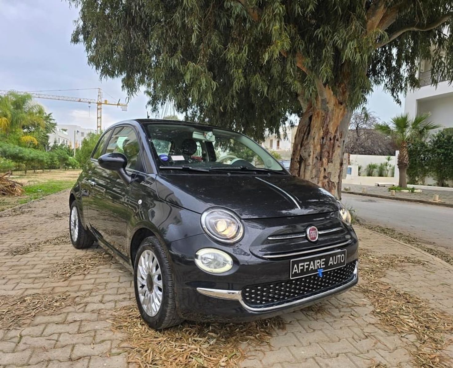 Fiat 500 Dolcevita à sousse - Photo 1