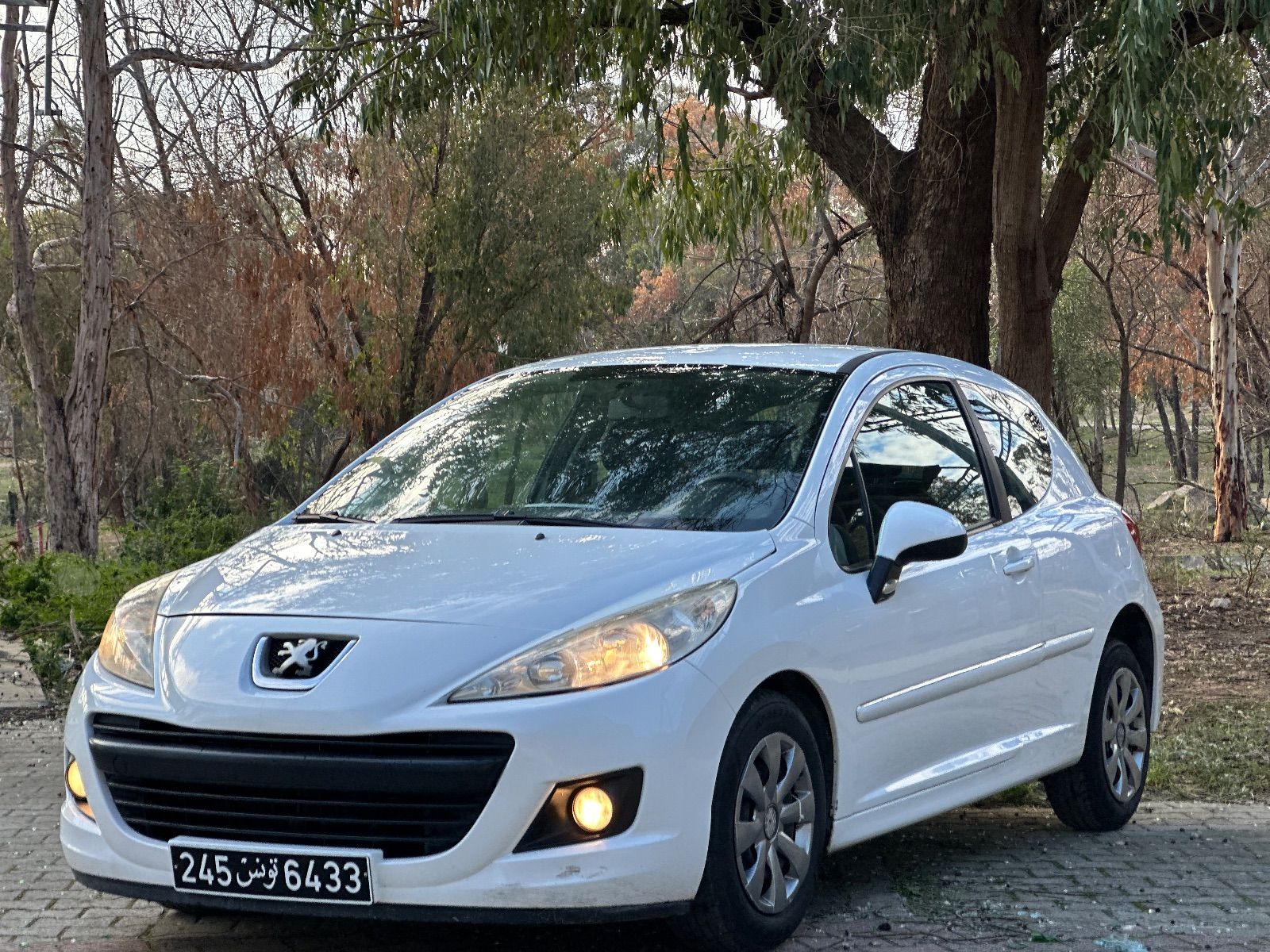 Peugeot 207 à Ben Arous - Photo 3
