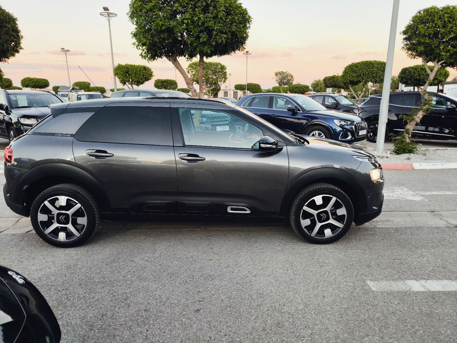 Citroën C4 Cactus à Ben Arous - Photo 6