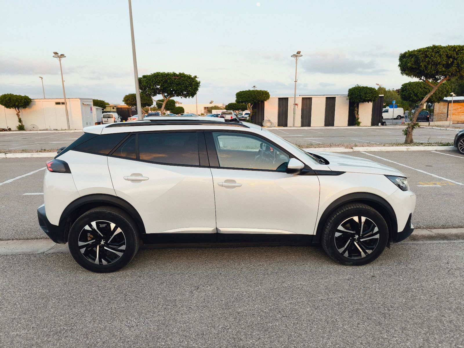 Peugeot 2008 Allure Blanc Nacré à Tunis - Photo 6