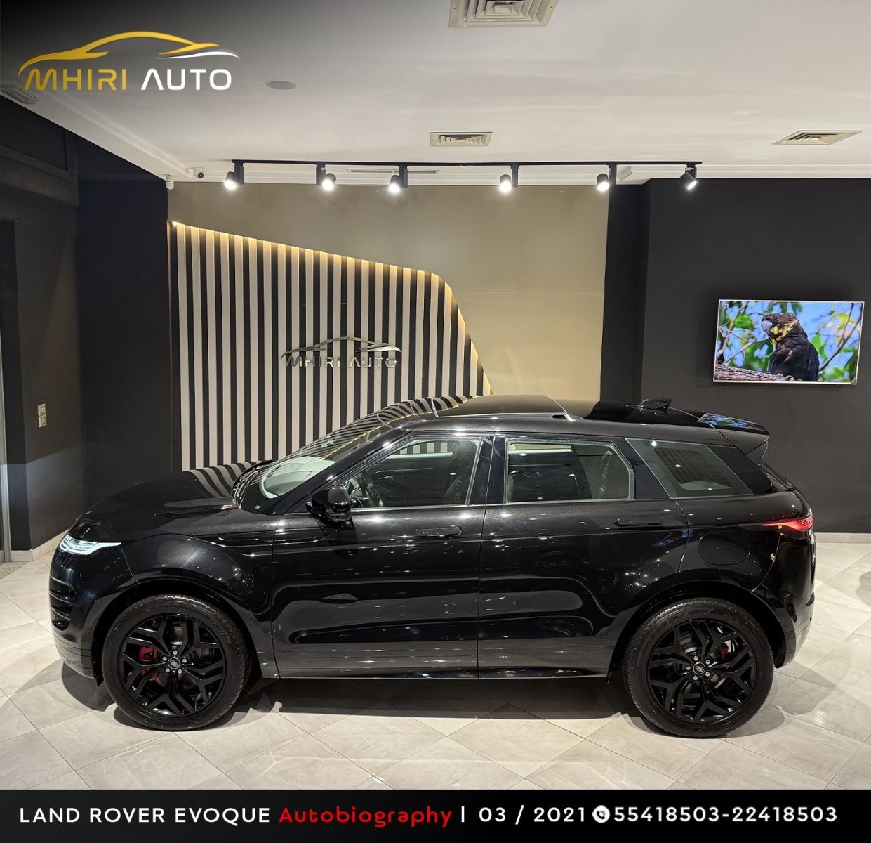 Land Rover Range Rover Evoque HSE à Tunis - Photo 22
