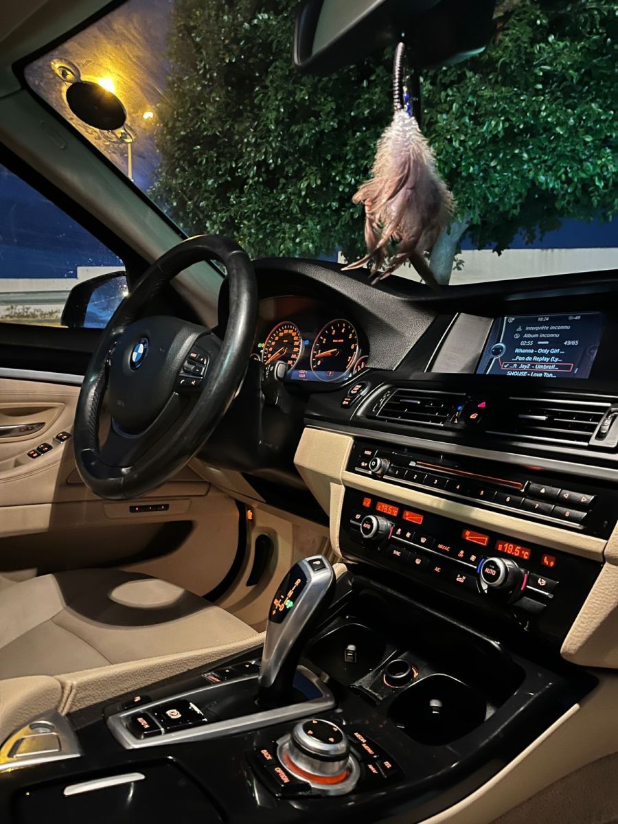 BMW Série 5 Confort Luxury à Tunis - Photo 13