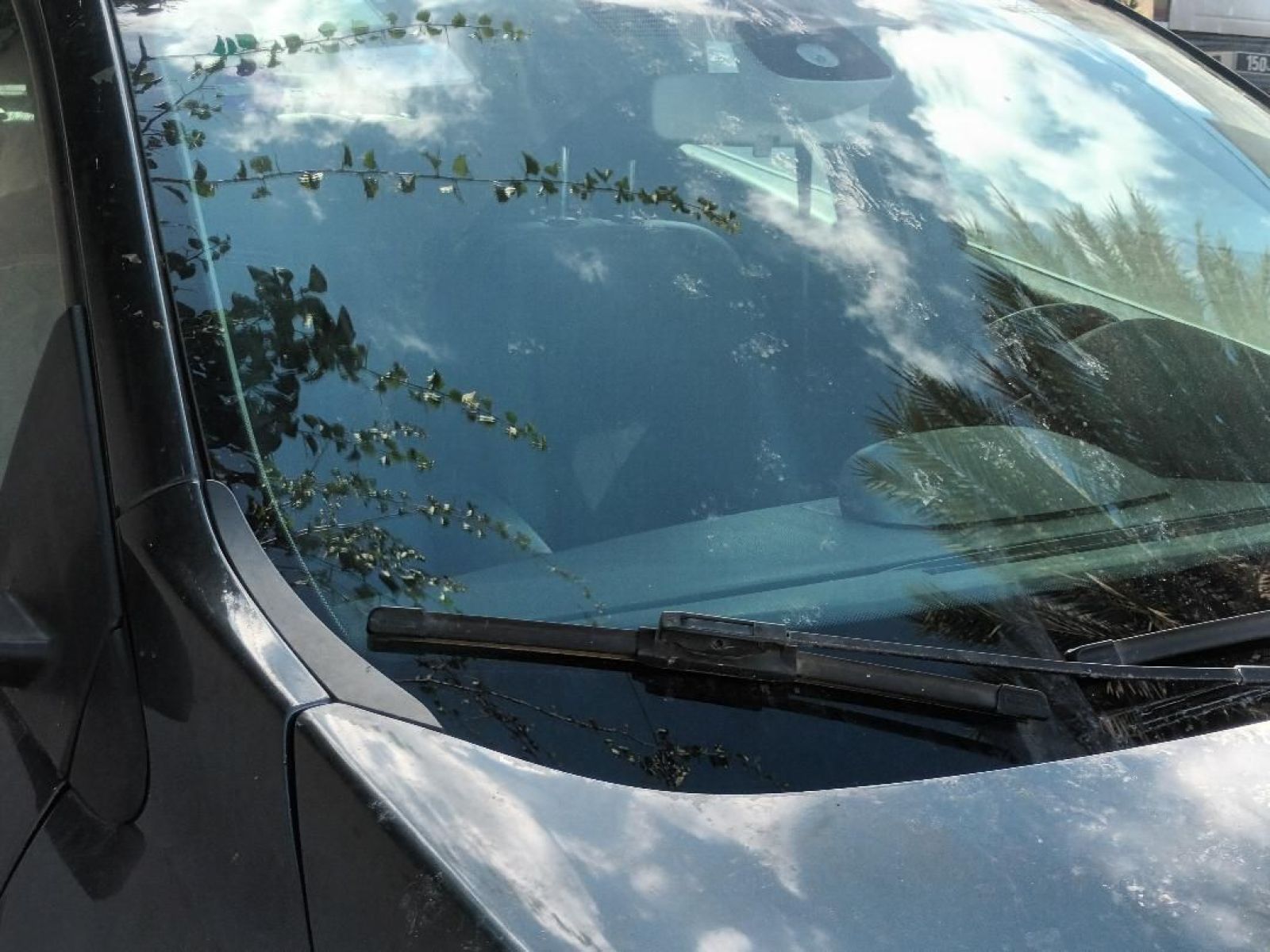 Renault Megane à sousse - Photo 18