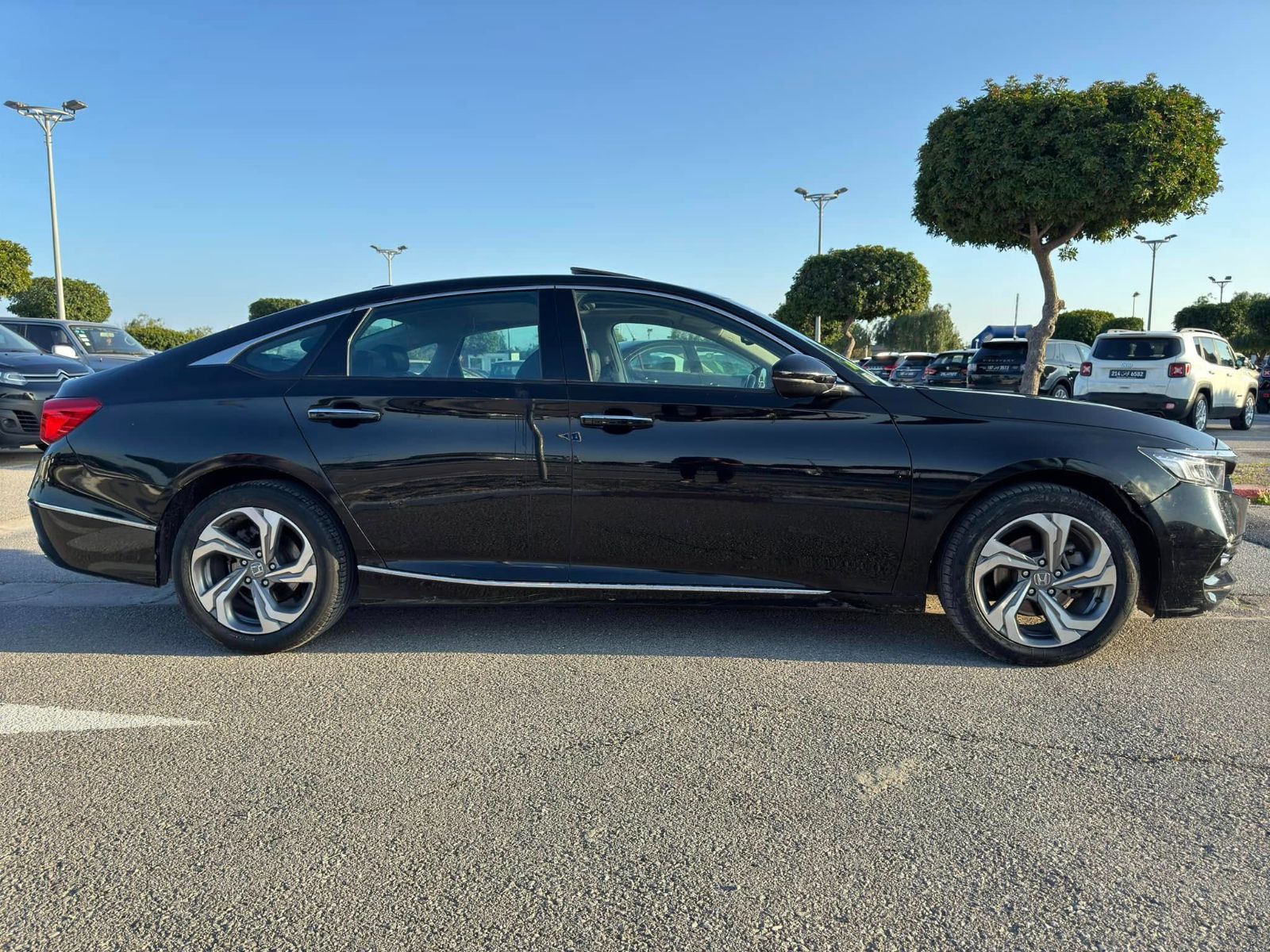 Honda Accord à Tunis - Photo 4