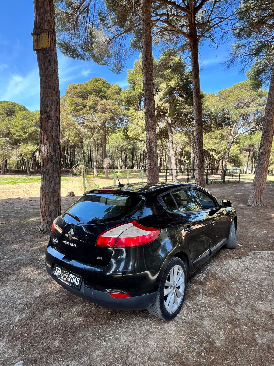 Renault Megane à Ariana - Photo 17