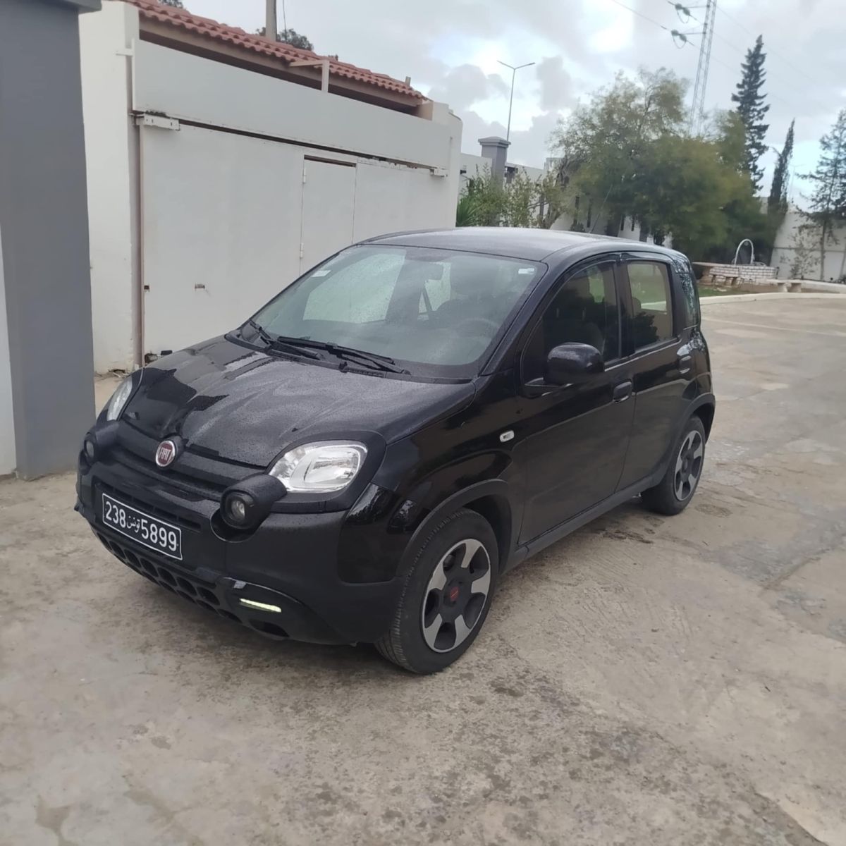 Fiat Panda à Ariana - Photo 1