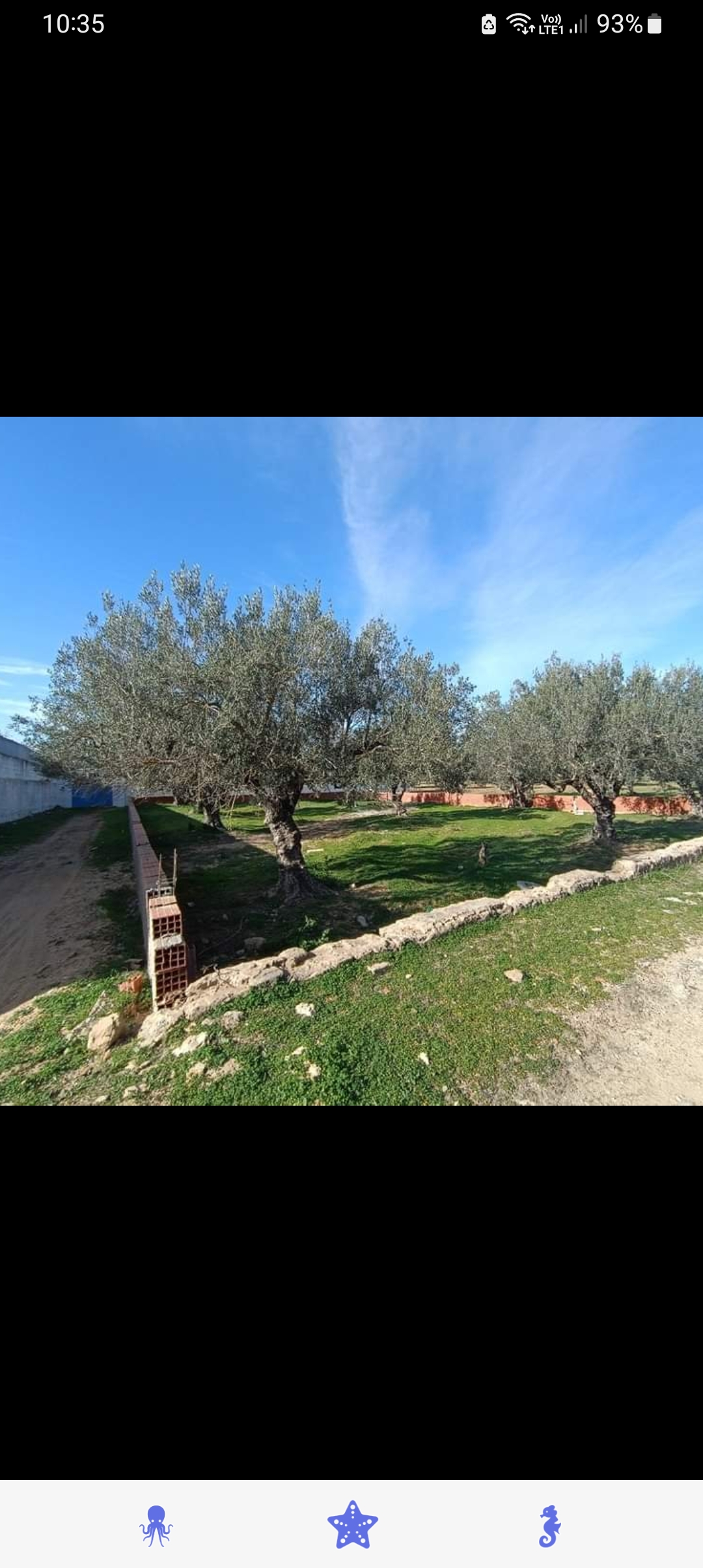    Terrain de 804 m2 a cote à Nabeul - Photo 2