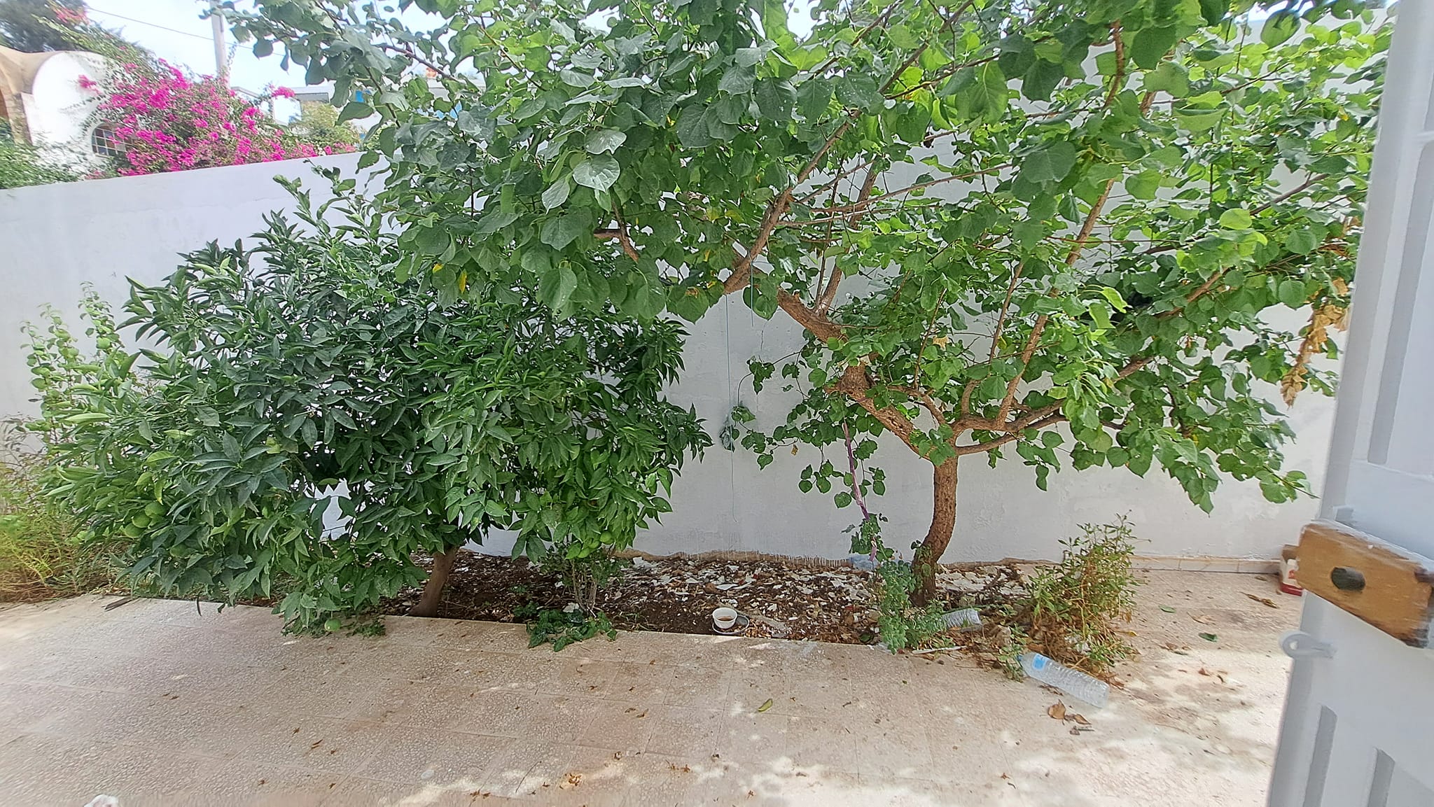     Rez de chaussée de v à Tunis - Photo 2