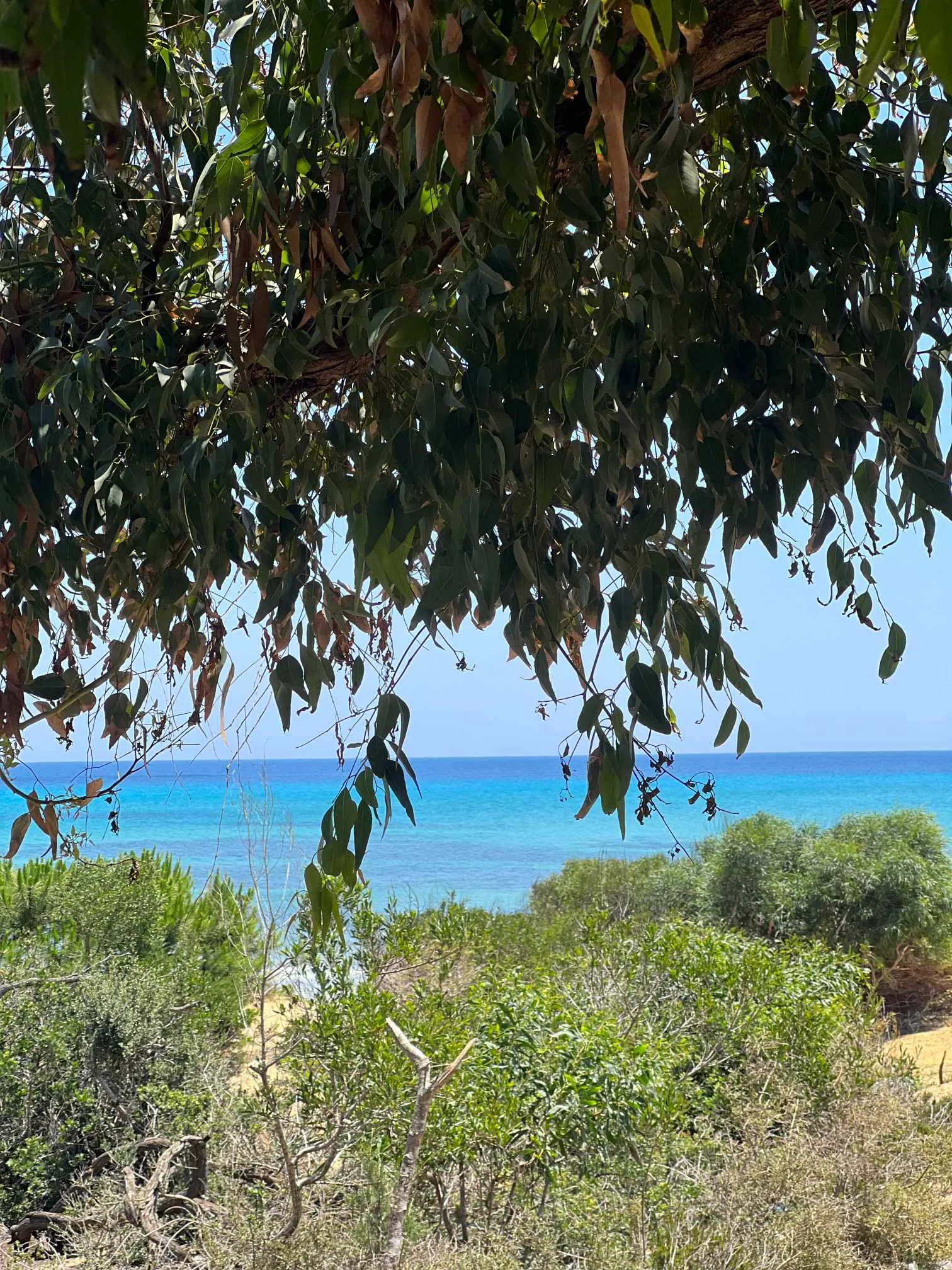  Villa Joumana AL2591 Hammamet Nord 