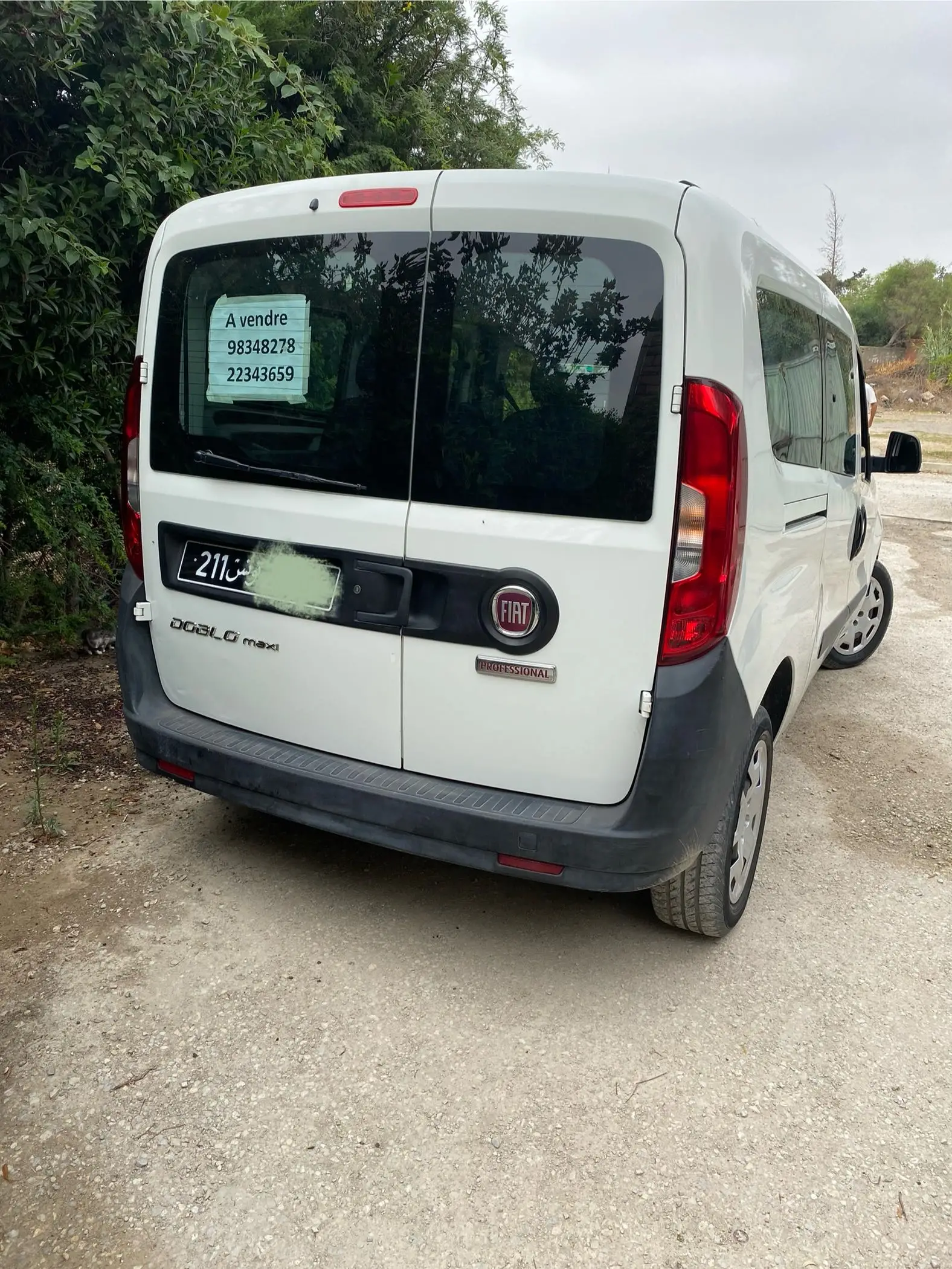  Fiat doublo maxi à Ariana - Photo 2
