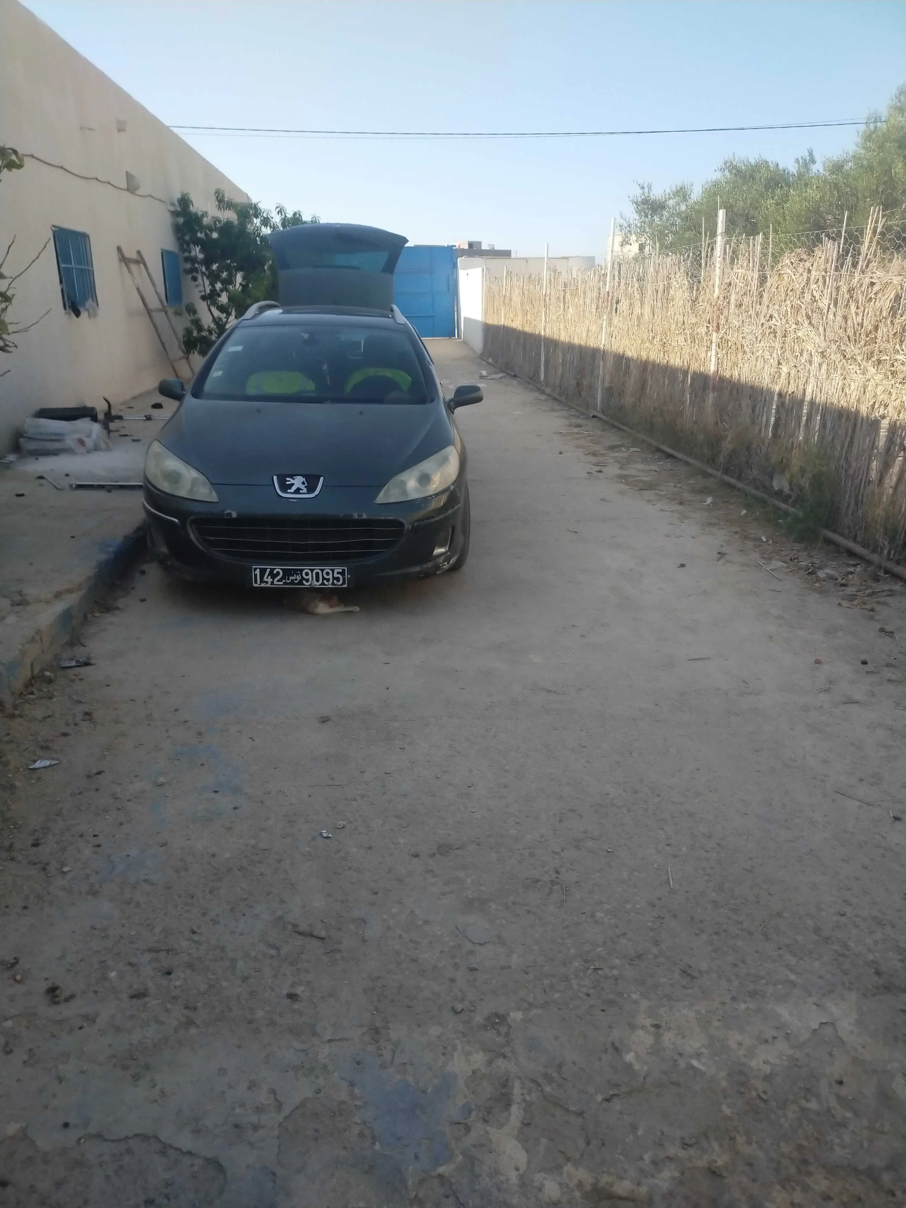  Kia sportage Boite automatique essence 