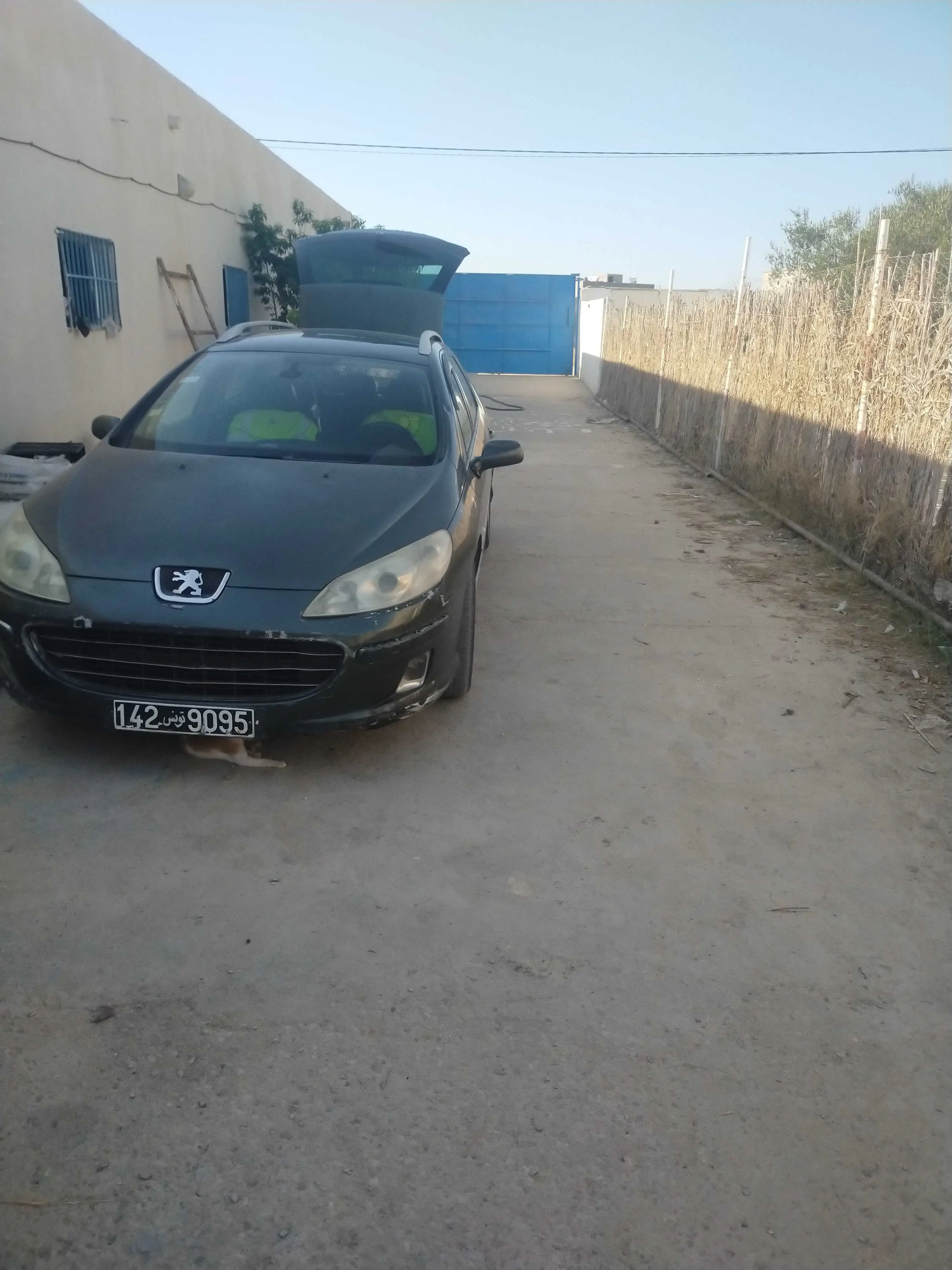  407 tt options SW à sousse - Photo 2