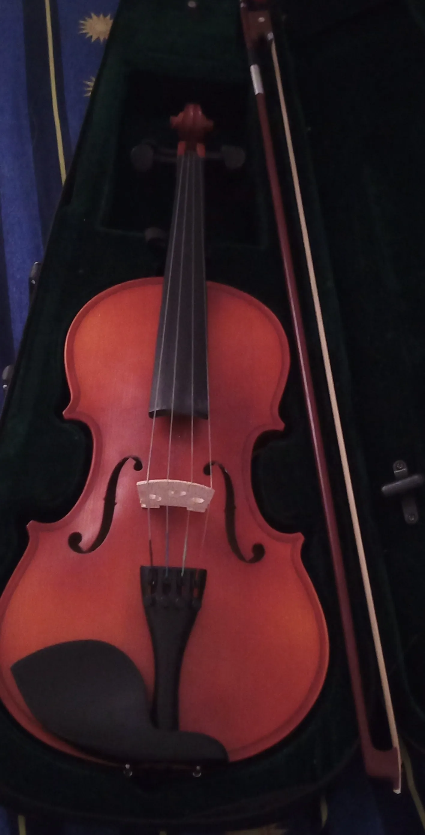  Violon 4/4 