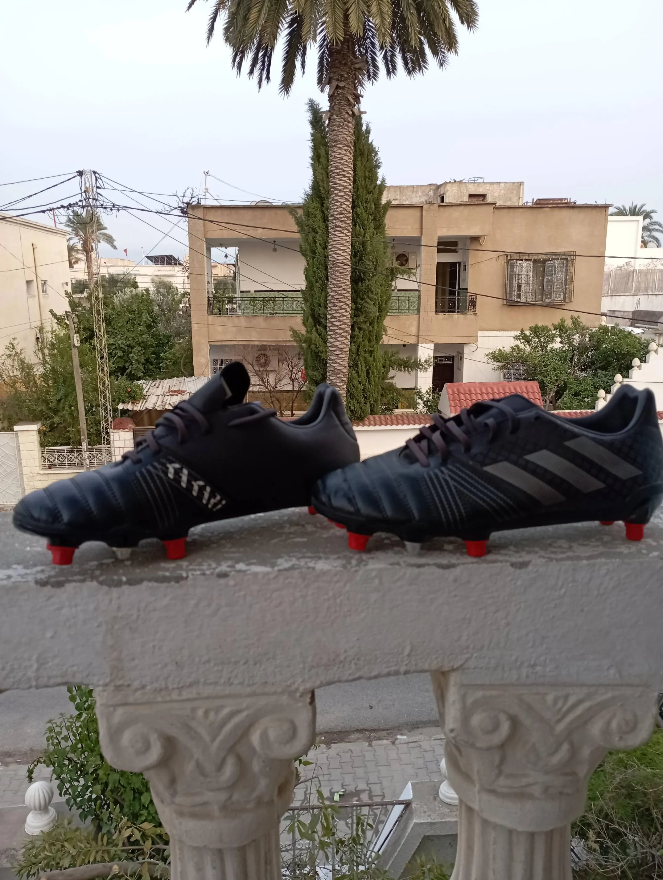  Crampon adidas PRO à Ben Arous - Photo 2