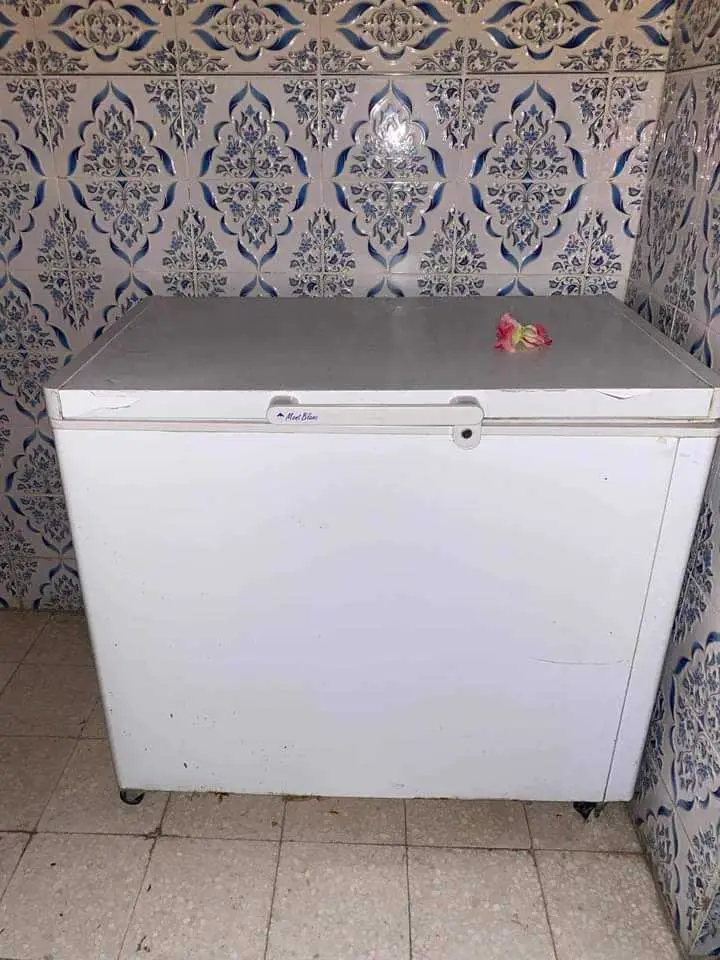  ferjidaire a vendre 