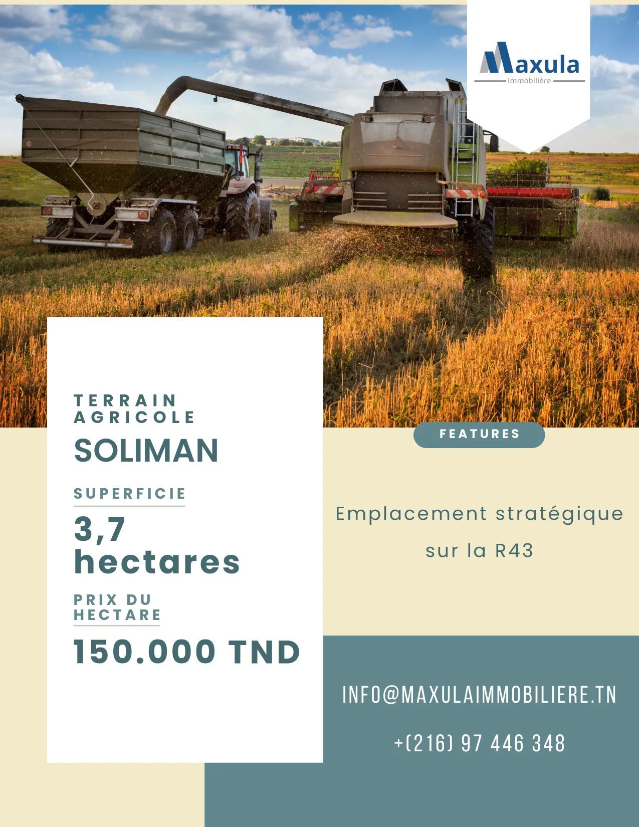  À VENDRE TERRAIN AGRICOLE DE 3,7 HECTARES À SOLIMAN à Nabeul - Photo 2