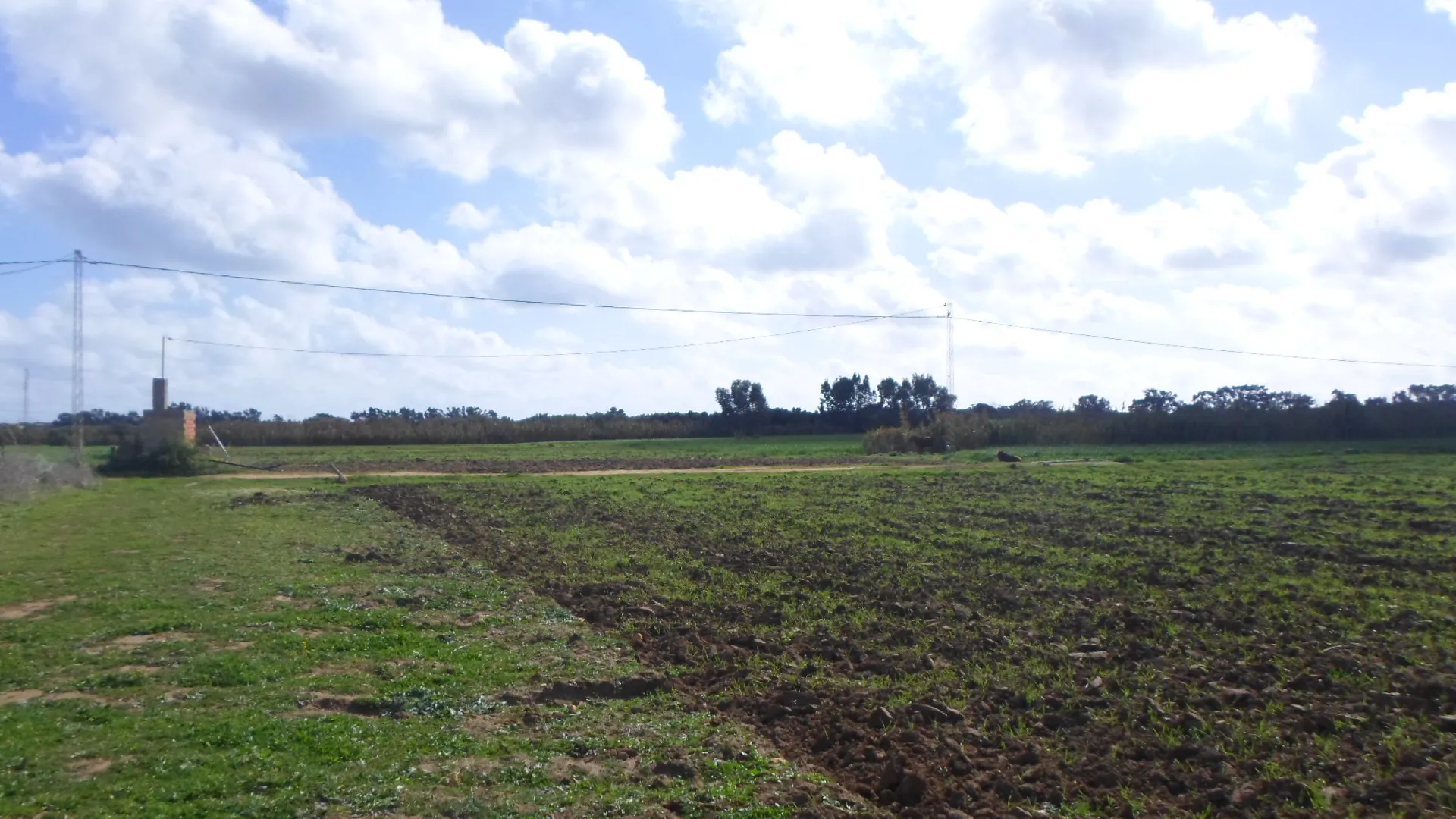  terrain agricole a kerkouane à Nabeul - Photo 3