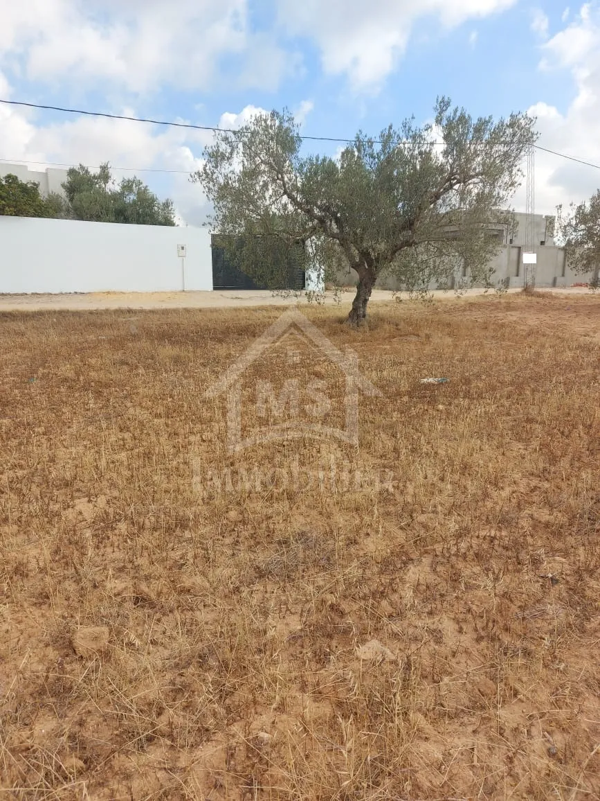  Terrain clôturé de 1253 m² à vendre à Hammamet Sud 51355351 à Nabeul - Photo 3