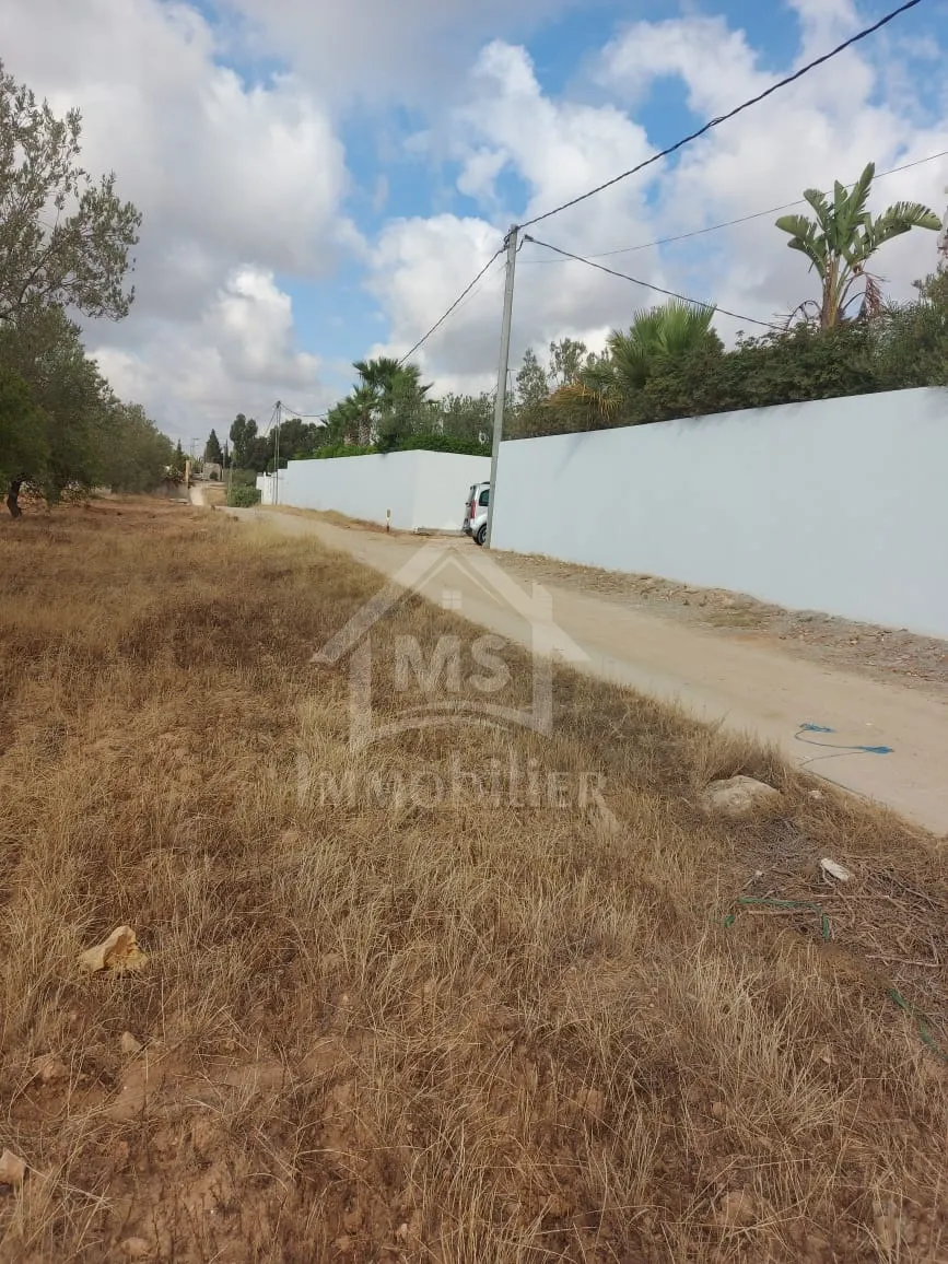  Terrain clôturé de 1253 m² à vendre à Hammamet Sud 51355351 à Nabeul - Photo 2