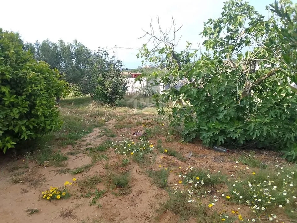 VILLA MEUBLÉE À MELLITA DJERBA ZU - RÉF V678