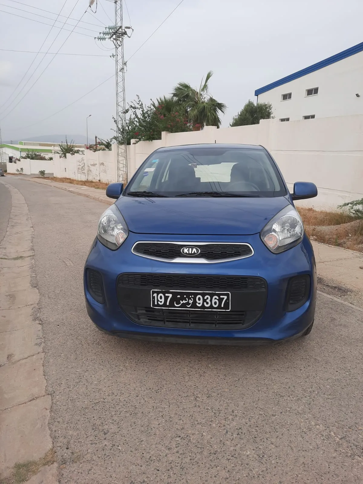  Kia Picanto état neuf à Zaghouan - Photo 2