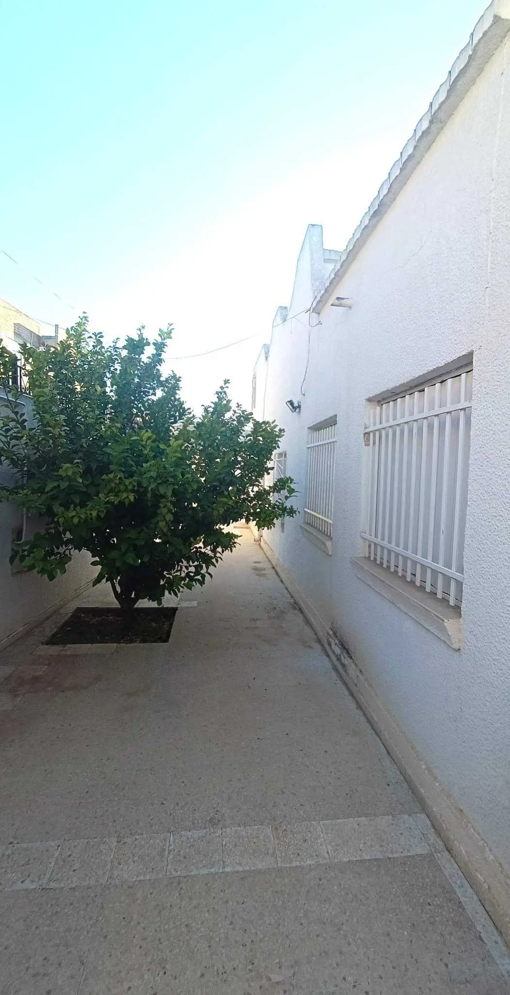  Ezzouhour 1 à Tunis - Photo 3