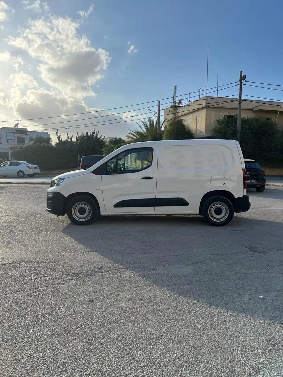  Partner k9 à Tunis - Photo 2