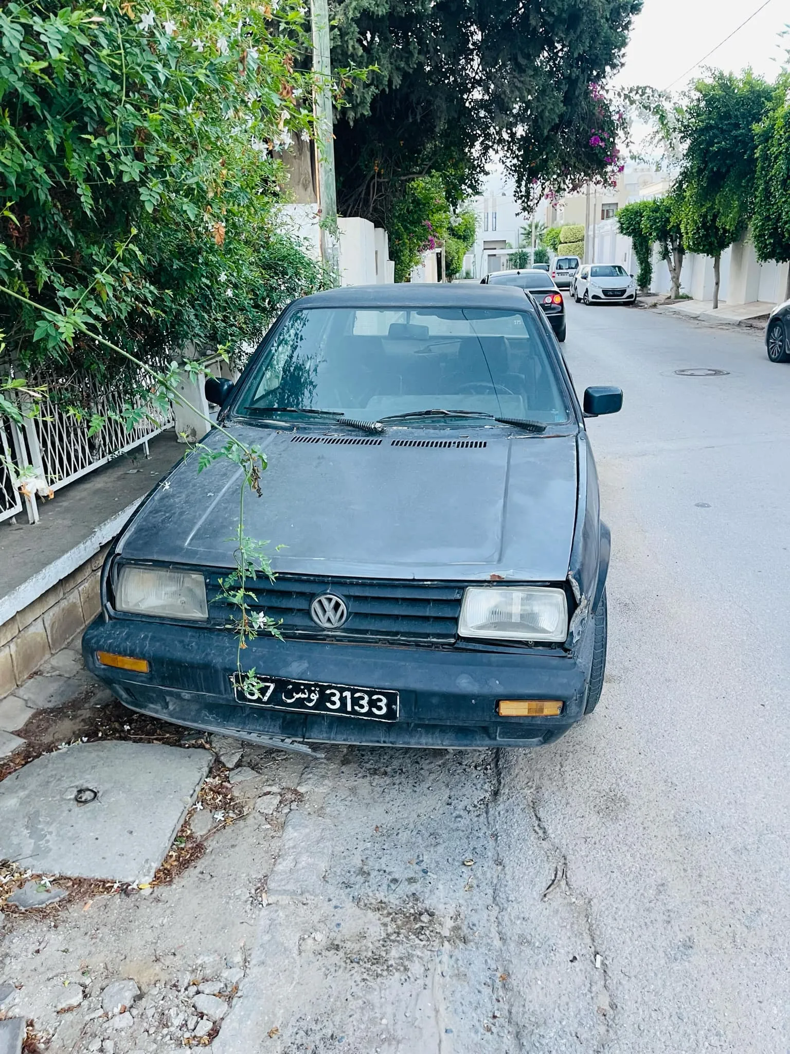  Jetta à Ariana - Photo 2