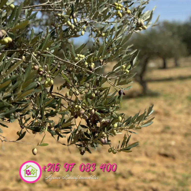 À VENDRE : Un appartement S+1 Haut standing situé à La Nouvelle Soukra ( Direct promoteur ) 