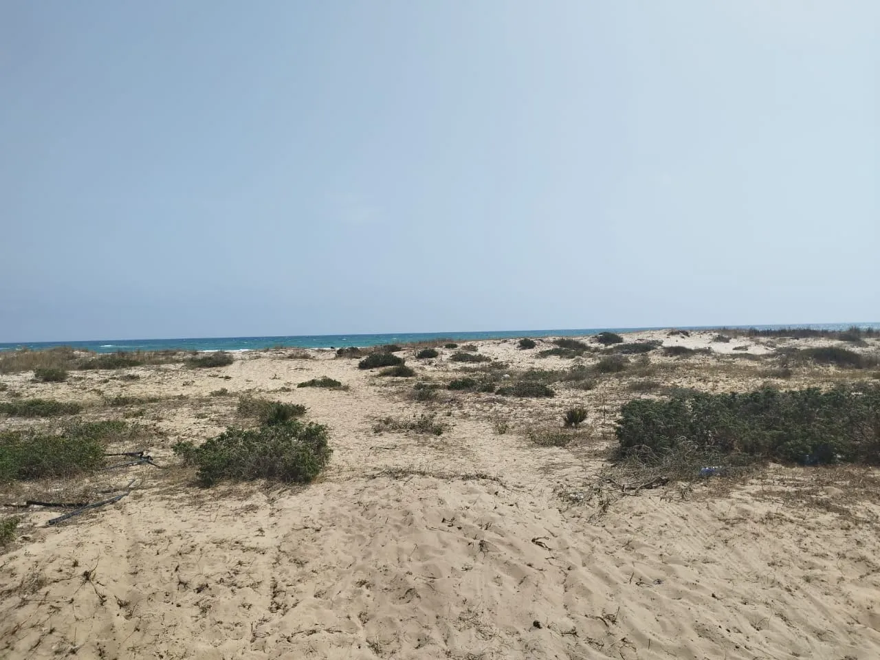  terrain pieds dans l'eau à Nabeul - Photo 2