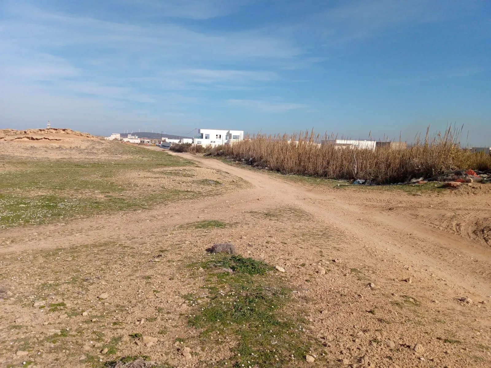  À vendre un terrain sur mer fi sidi daoud haouaria 1ère position a la plage à Nabeul - Photo 2