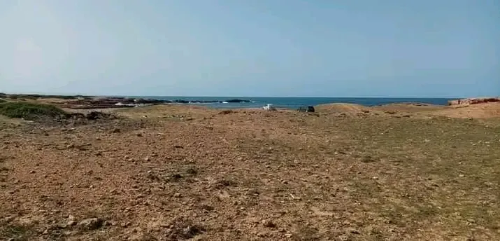  À vendre un terrain sur mer fi sidi daoud haouaria 1ère position a la plage à Nabeul - Photo 3