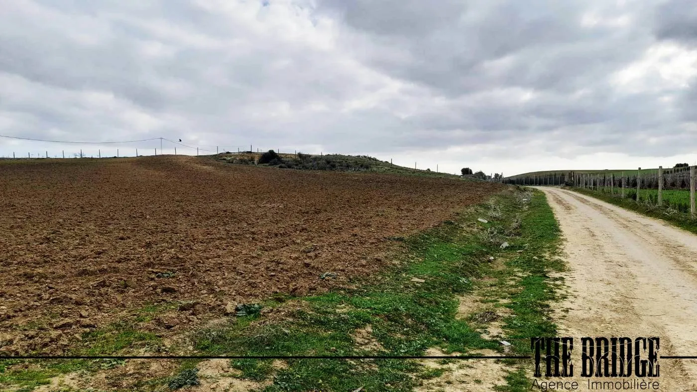  A louer local sou sol 150 m² lieu khzema zone HAMAMDI ABID 