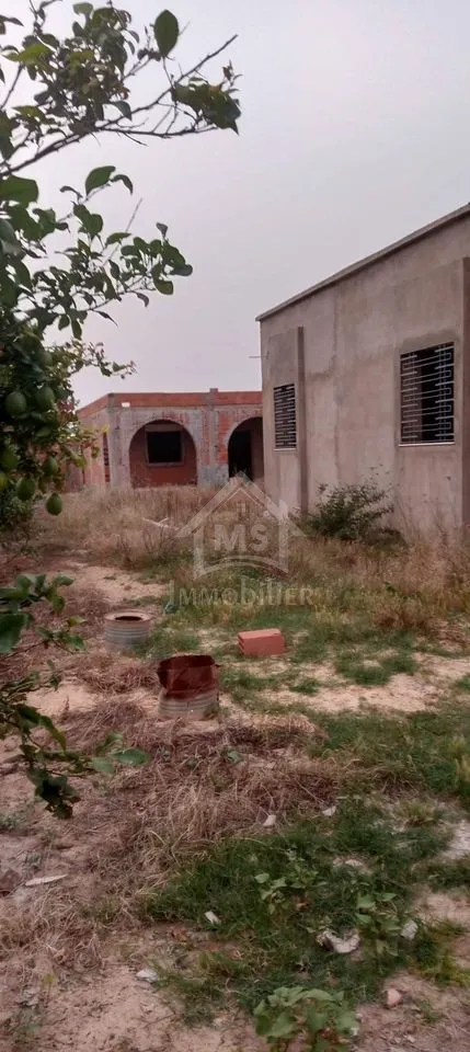  Lot de terrain de 500 m² à vendre à 55 MD à Hammamet Sud51355351 à Nabeul - Photo 2