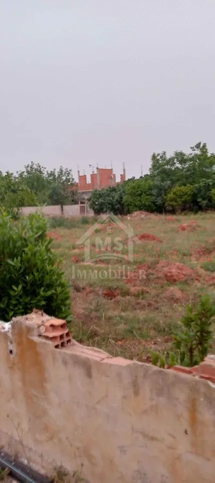  Lot de terrain de 500 m² à vendre à 55 MD à Hammamet Sud51355351 à Nabeul - Photo 3