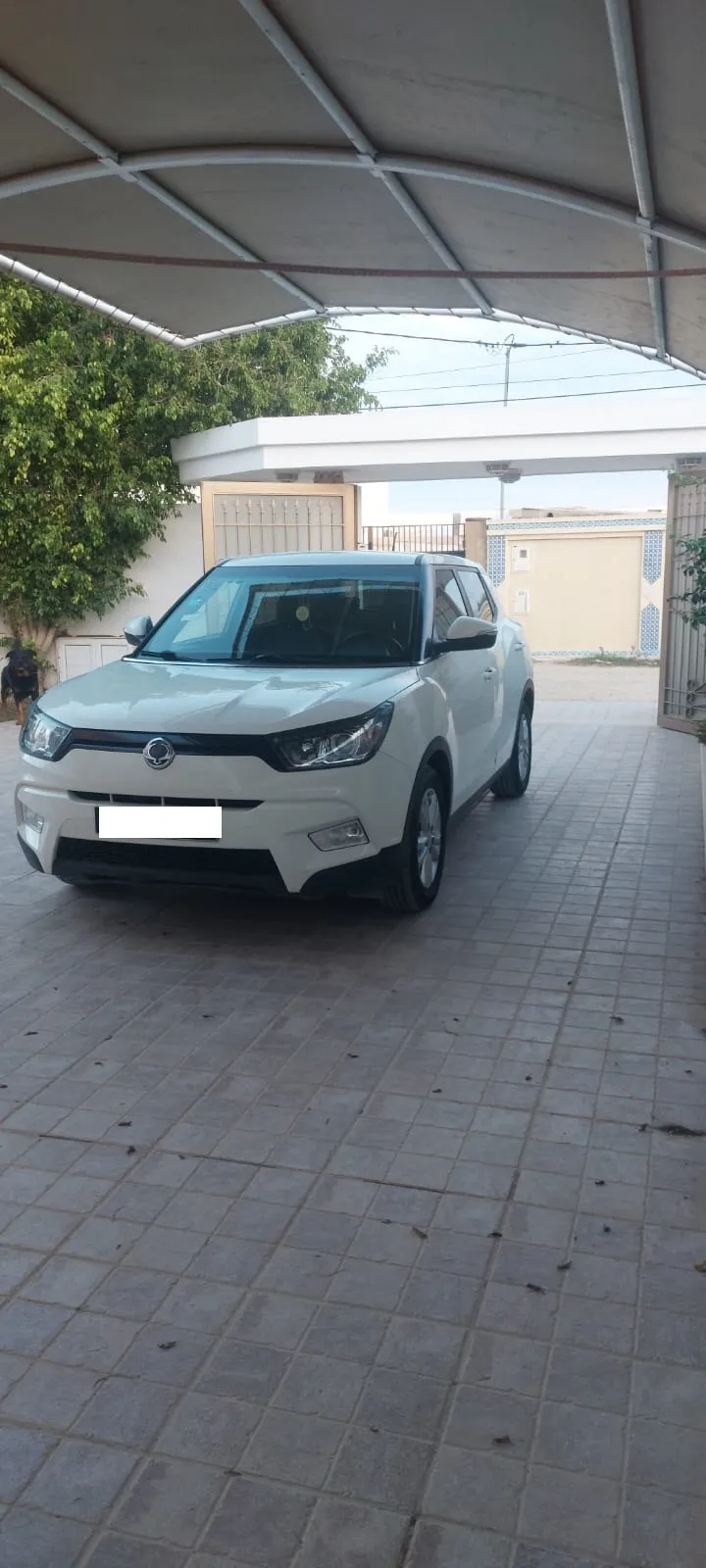  Pot sito silencieux Piaggio ???????????????? 