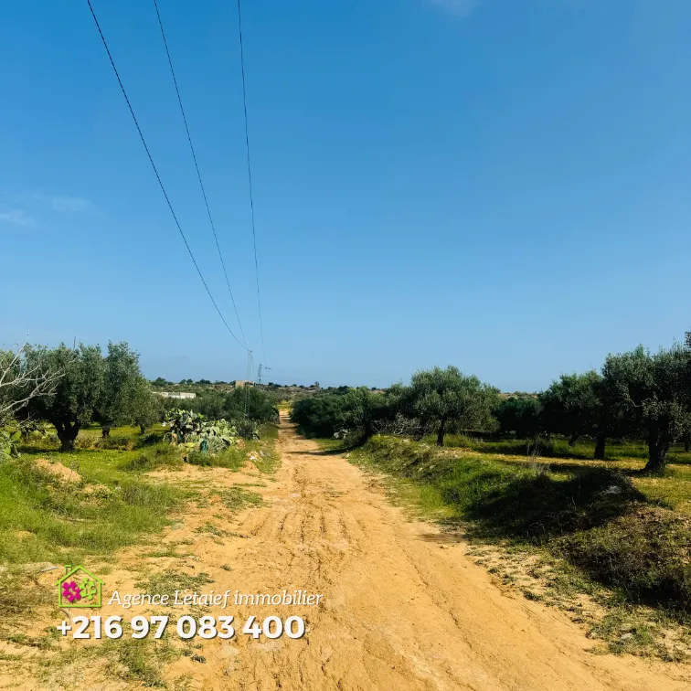  Terrain de 4000m2 70 DTle m² a foukaia chott meriem à sousse - Photo 2
