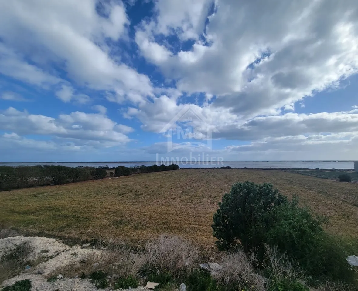  Terrain pieds dans l'eau de 3333 m² à korba à vendre 51355351 à Nabeul - Photo 2