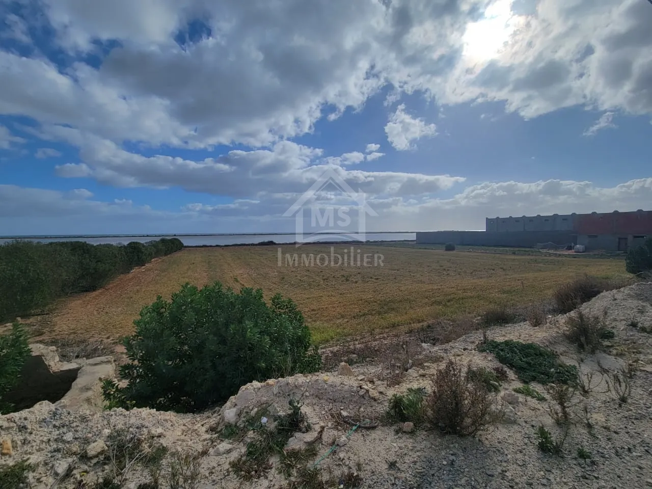  Terrain pieds dans l'eau de 3333 m² à korba à vendre 51355351 à Nabeul - Photo 3
