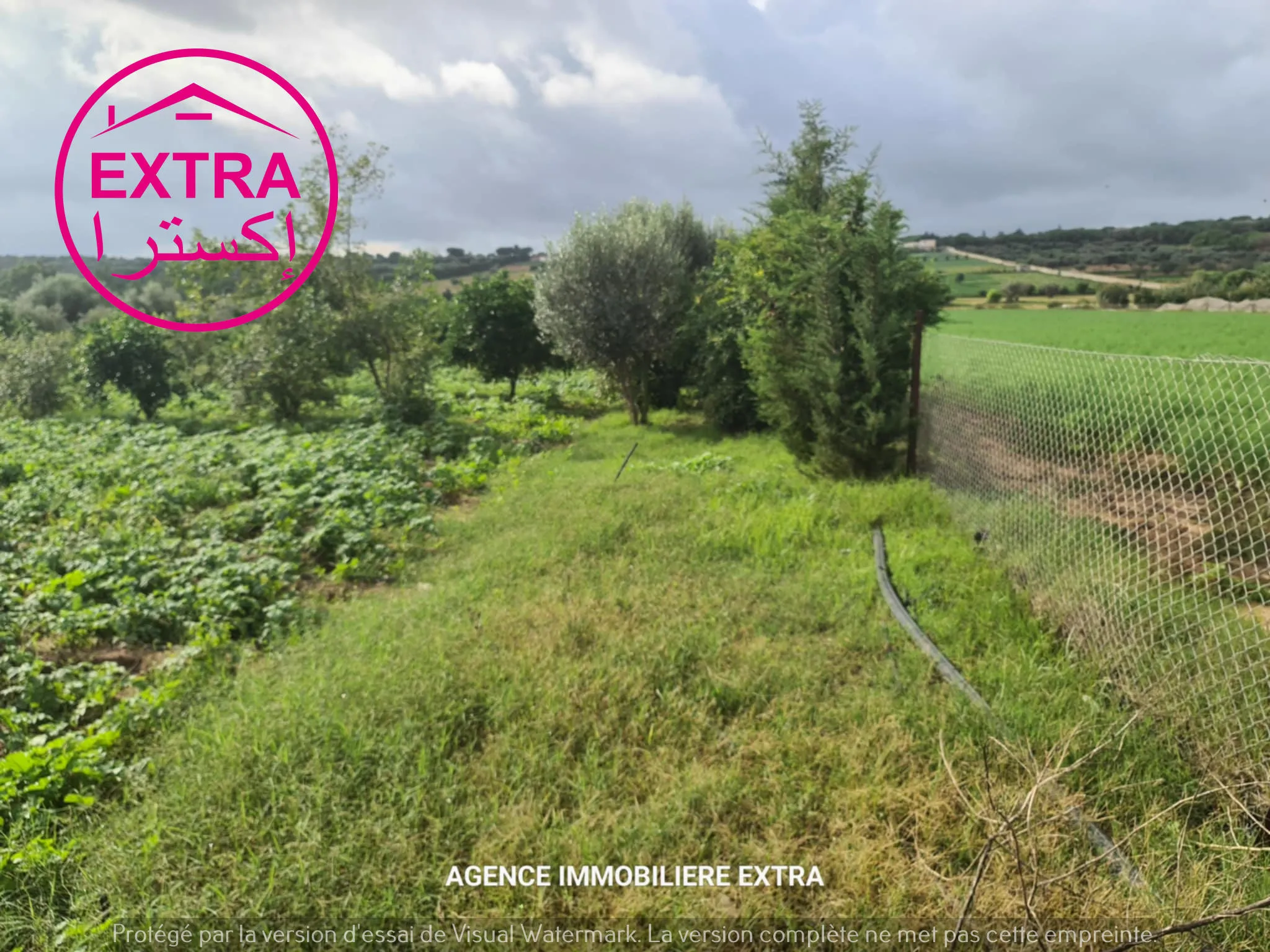  Campagne à Somaa A côté de la route à Nabeul - Photo 3