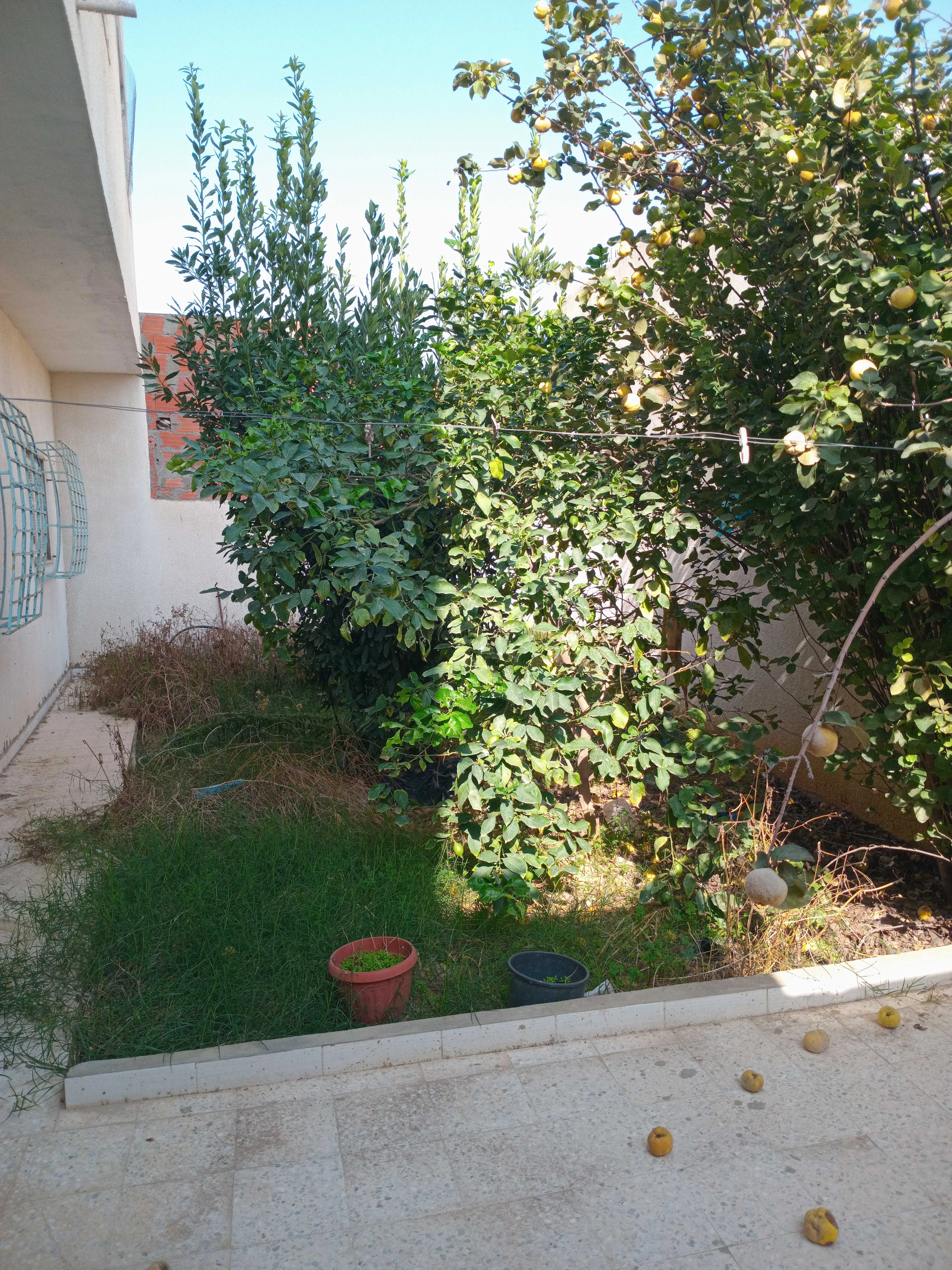  Maison 2 étages à Ariana - Photo 3