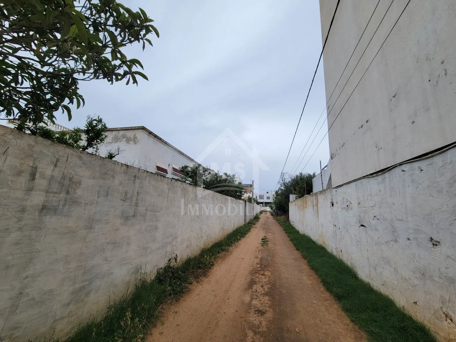  Lot de terrain de 240 m² à Hammamet à vendre 51355351 à Nabeul - Photo 3