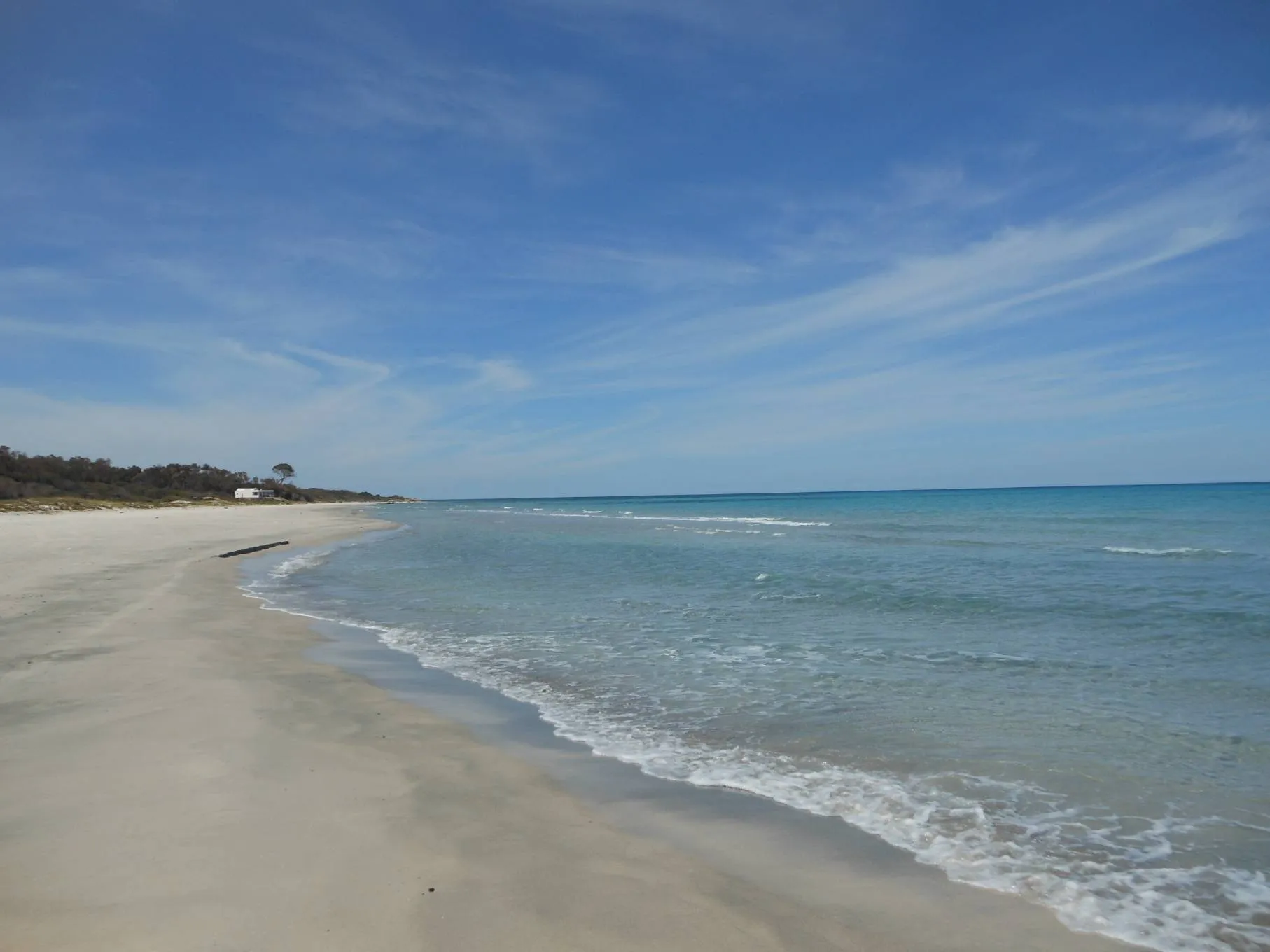    A la marsa sidi daoued a