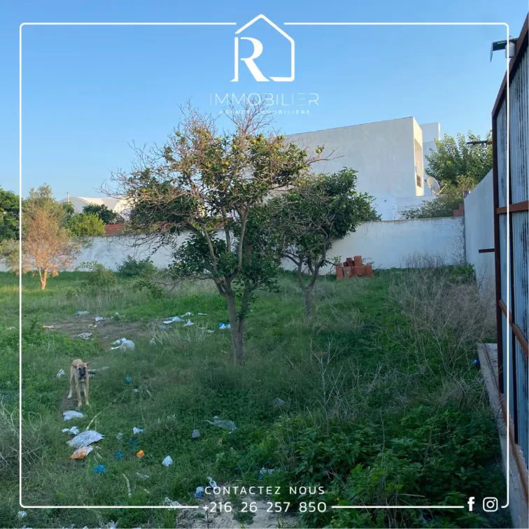  ????A #Vendre un Terrain Clôturé Zone #Miramar_Hammamet???? à Nabeul - Photo 2