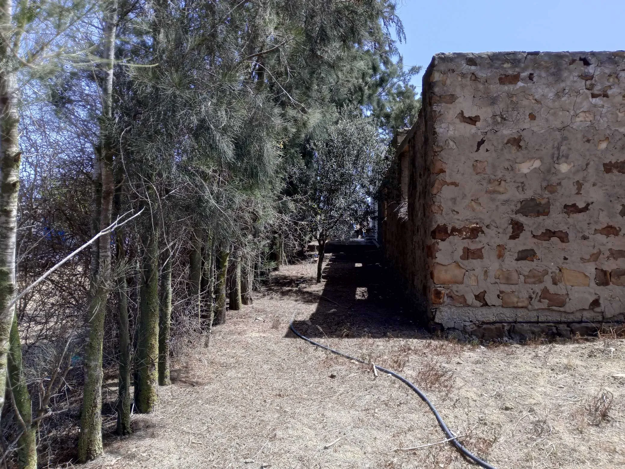  أرض للبيع بها شهادة ملكية فردية à Nabeul - Photo 2